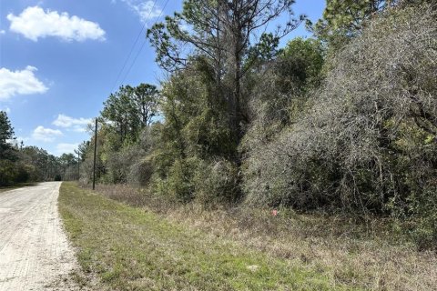 Land in Brooksville, Florida № 1724031 - photo 3