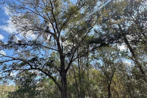 Land in Brooksville, Florida № 1724031 - photo 8
