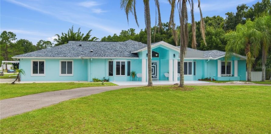 House in Lutz, Florida 5 bedrooms, 408.86 sq.m. № 2220415