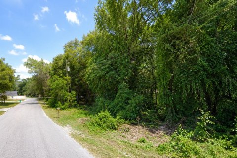 Land in Inverness, Florida № 2164830 - photo 4