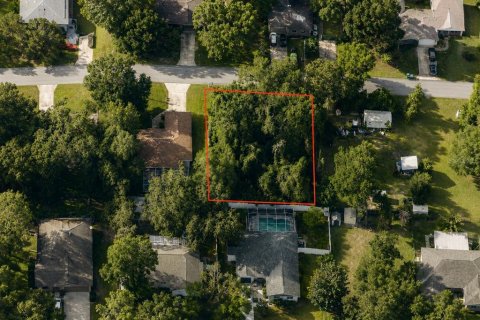 Land in Inverness, Florida № 2164830 - photo 5