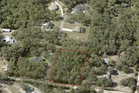 Terreno en venta en De Leon Springs, Florida № 2148940 - foto 2