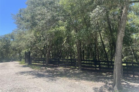 Terreno en venta en De Leon Springs, Florida № 2148940 - foto 6