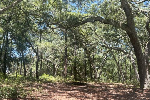Terreno en venta en De Leon Springs, Florida № 2148940 - foto 4