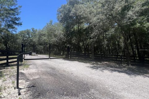 Terreno en venta en De Leon Springs, Florida № 2148940 - foto 12