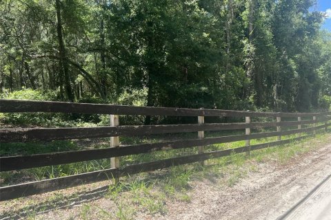 Terreno en venta en De Leon Springs, Florida № 2148940 - foto 10