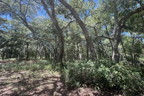 Terreno en venta en De Leon Springs, Florida № 2148940 - foto 16