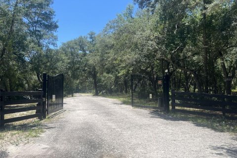 Terreno en venta en De Leon Springs, Florida № 2148940 - foto 13
