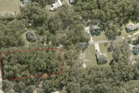 Terreno en venta en De Leon Springs, Florida № 2148940 - foto 8