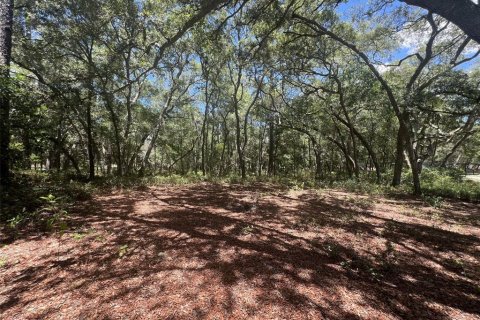 Terreno en venta en De Leon Springs, Florida № 2148940 - foto 11