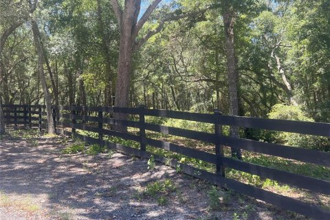 Terreno en De Leon Springs, Florida № 2148940