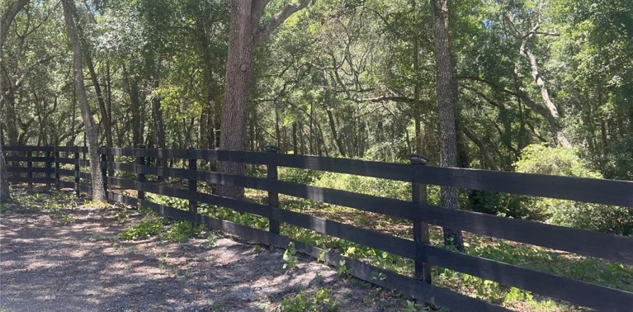 Terreno en De Leon Springs, Florida № 2148940