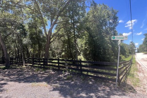 Terreno en venta en De Leon Springs, Florida № 2148940 - foto 7