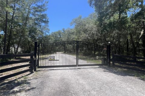 Terreno en venta en De Leon Springs, Florida № 2148940 - foto 3