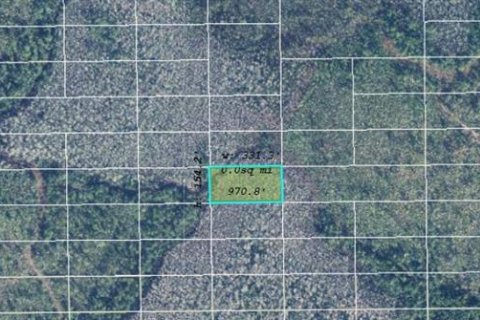 Land in Orlando, Florida № 2218800 - photo 2
