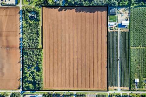 Commercial property in Homestead, Florida № 2245134 - photo 7