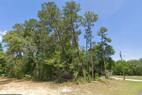 Land in Ocala, Florida № 1893969 - photo 3