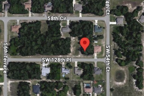 Land in Ocala, Florida № 1893969 - photo 1