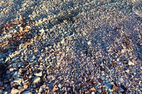 Land in Lauderhill, Florida № 1953639 - photo 9