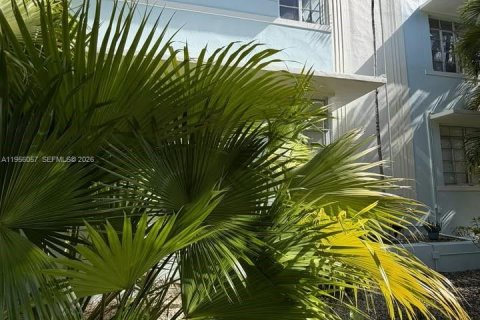 Copropriété à louer à Miami Beach, Floride: 1 chambre, 59.92 m2 № 2011128 - photo 5