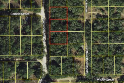 Land in Inverness, Florida № 2159272 - photo 3