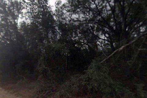 Land in Inverness, Florida № 2159272