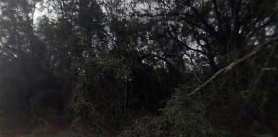 Land in Inverness, Florida № 2159272