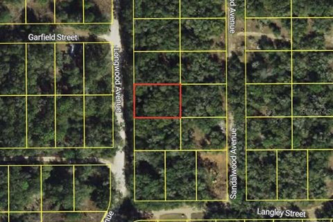 Land in Inverness, Florida № 2159272 - photo 2