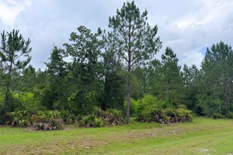 Terrain à vendre à Chiefland, Floride № 2221476 - photo 30