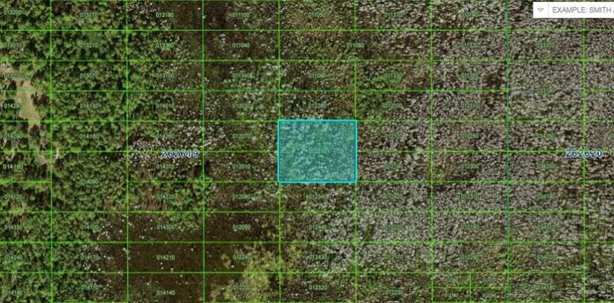 Land in Polk City, Florida № 2202834