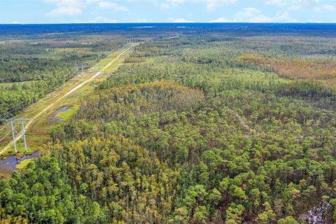 Land in Orlando, Florida № 2161002 - photo 18