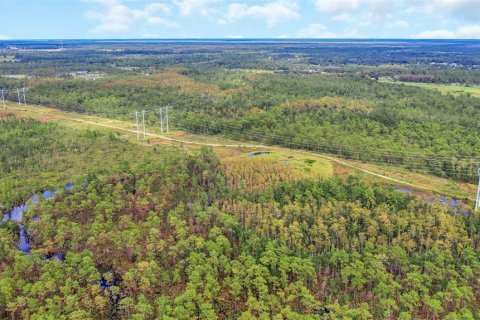 Land in Orlando, Florida № 2161002 - photo 9