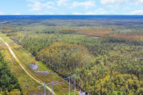 Land in Orlando, Florida № 2161002 - photo 16