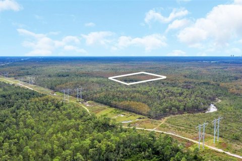 Land in Orlando, Florida № 2161002