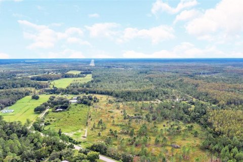 Land in Orlando, Florida № 2161002 - photo 21