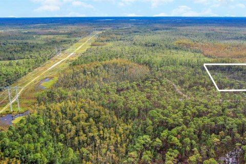 Land in Orlando, Florida № 2161002 - photo 17