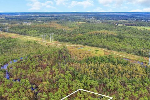 Land in Orlando, Florida № 2161002 - photo 8