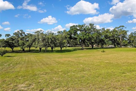 Terrain à vendre à Hernando, Floride № 2148942 - photo 4