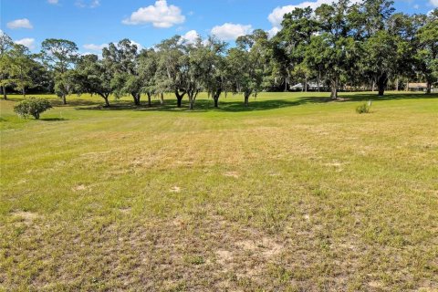 Terrain à vendre à Hernando, Floride № 2148942 - photo 6