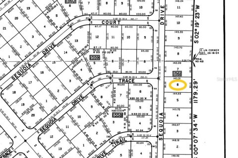Land in Ocklawaha, Florida № 2160002 - photo 4
