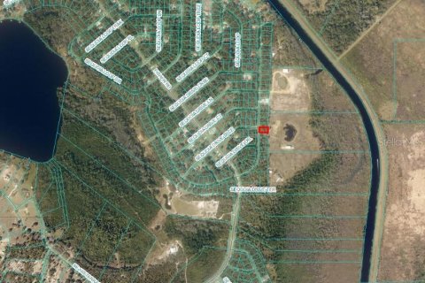 Land in Ocklawaha, Florida № 2160002 - photo 3