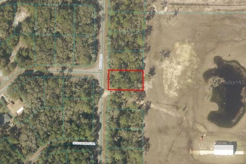 Land in Ocklawaha, Florida № 2160002 - photo 2