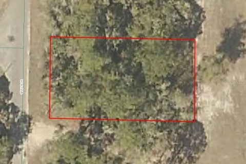 Land in Ocklawaha, Florida № 2160002
