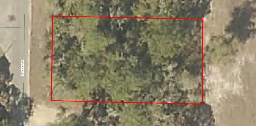 Land in Ocklawaha, Florida № 2160002
