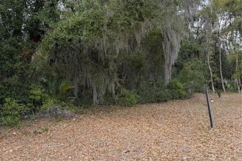 Terrain à Hawthorne, Floride № 2096875