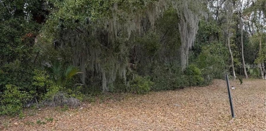 Terrain à Hawthorne, Floride № 2096875
