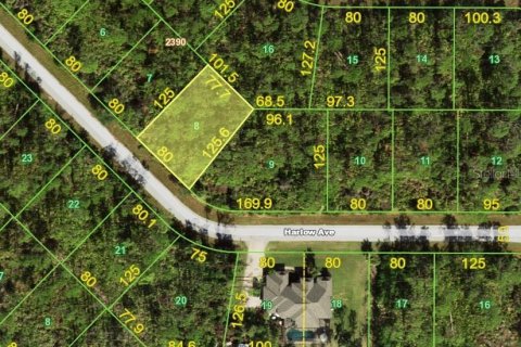 Land in Port Charlotte, Florida № 2273326 - photo 2