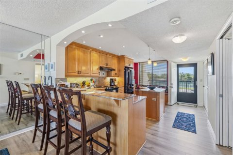 Condominio en alquiler en Saint Pete Beach, Florida, 2 dormitorios, 117.99 m2 № 2222473 - foto 11