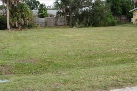 Land in North Port, Florida № 2159068 - photo 6