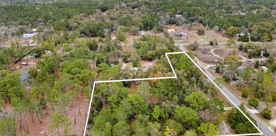Land in Brooksville, Florida № 1531374